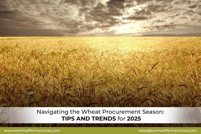 Navigating the Wheat Procurement Season: Tips and Trends for 2025