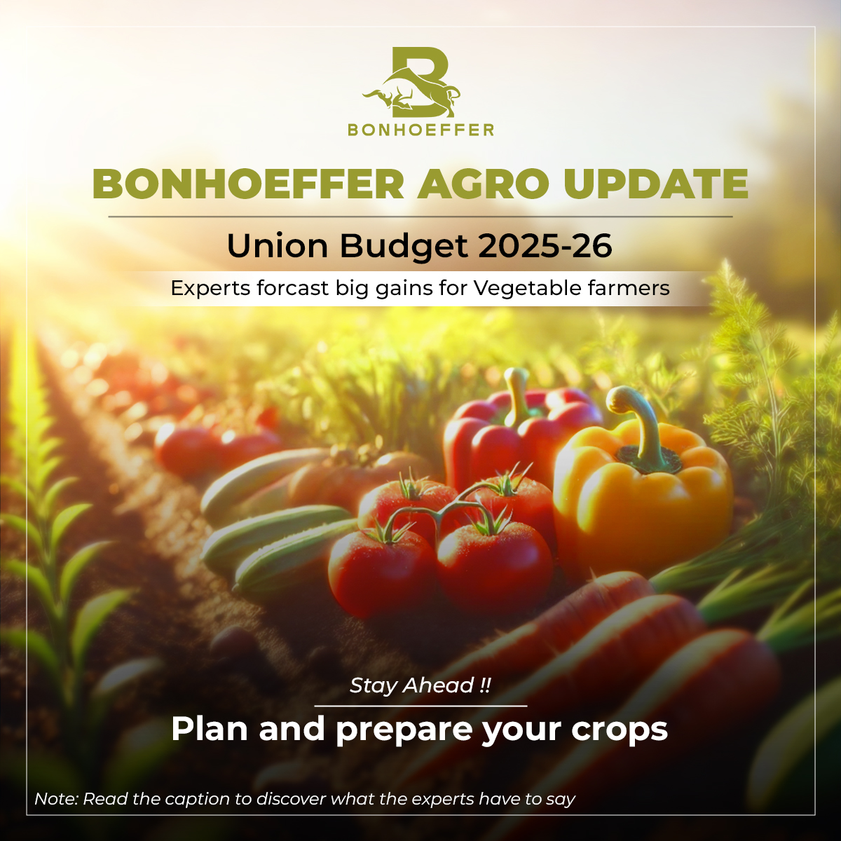 Agriculture in Budget 2025: Experts’ Anticipations | Bonhoeffer Agro Update