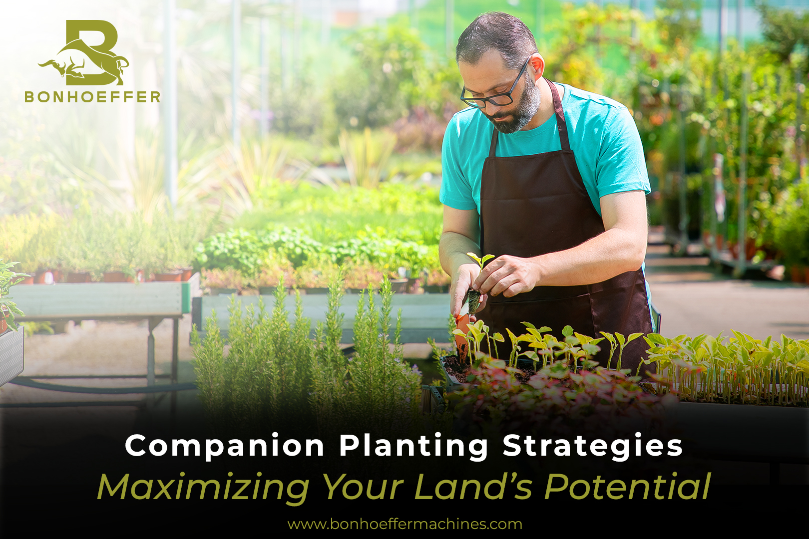 Companion Planting Strategies: Maximizing Your Land’s Potential