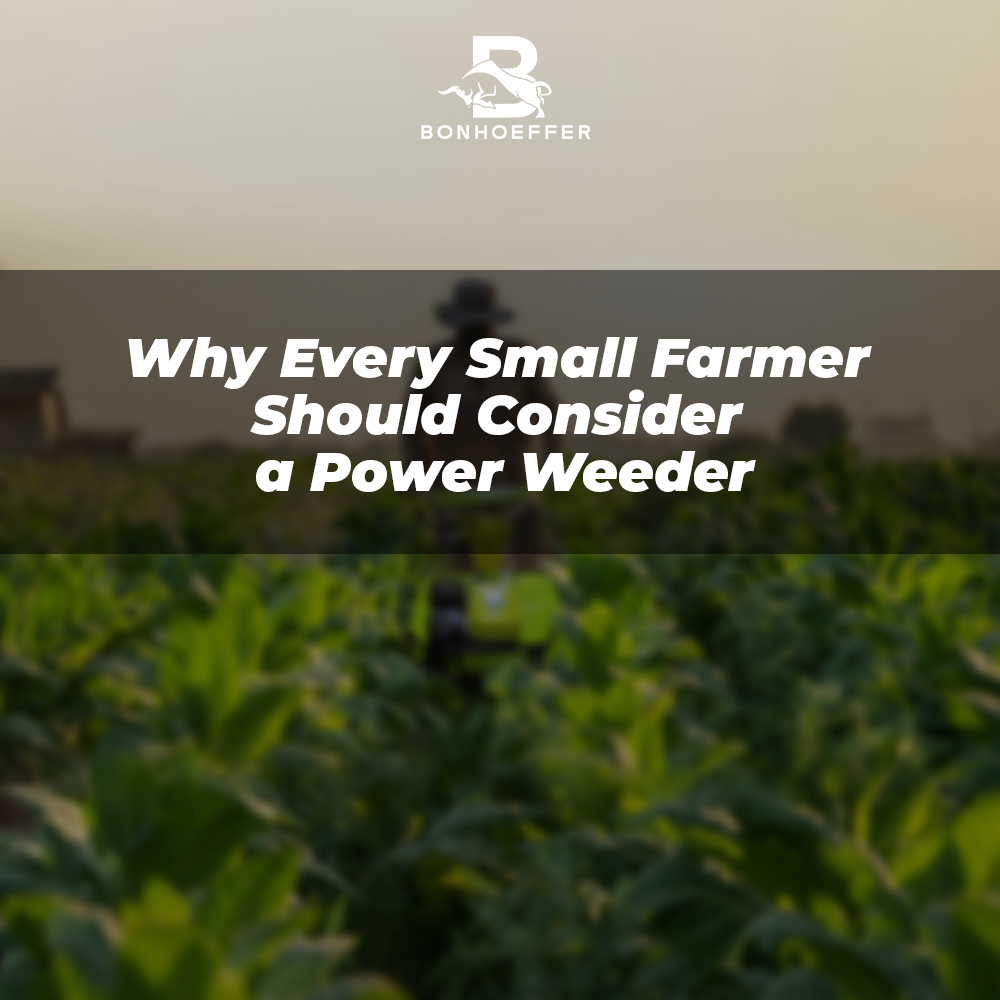 Why Every Small Farmer Should Consider a Power Weeder